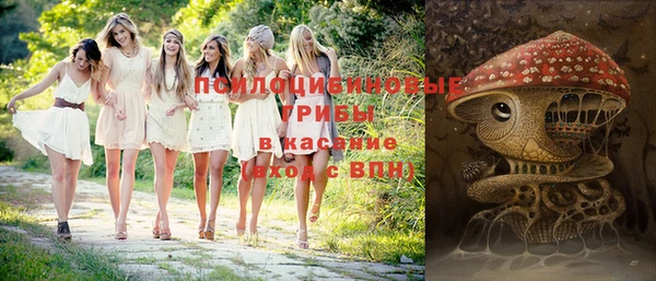 индика Абдулино