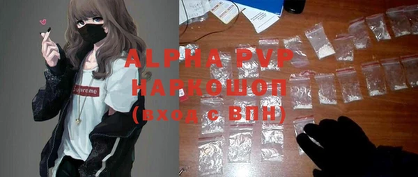 шишки Абаза