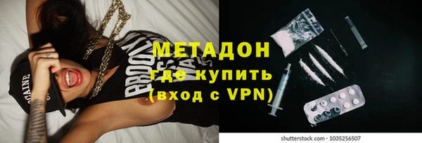 шишки Абаза