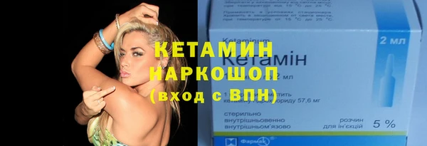 шишки Абаза