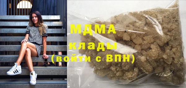 шишки Абаза