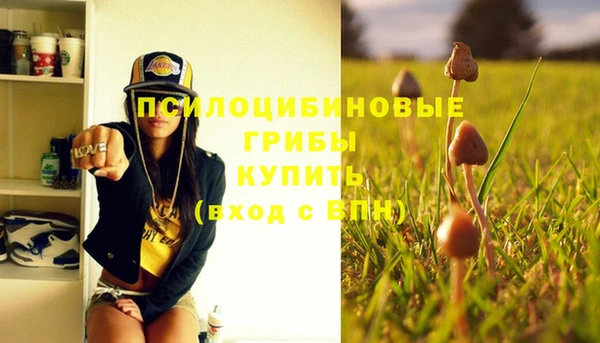 Альфа ПВП Пестово
