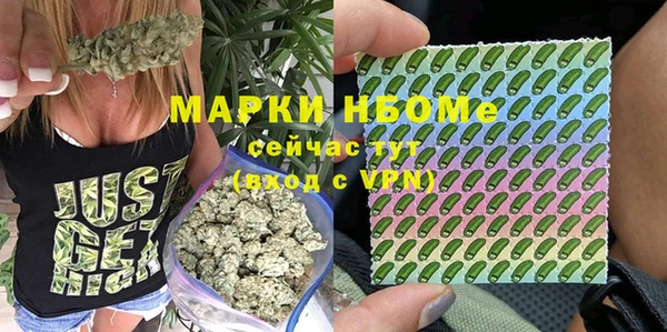 шишки Абаза