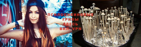 винт Абинск