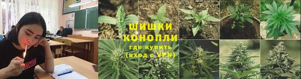 шишки Абаза