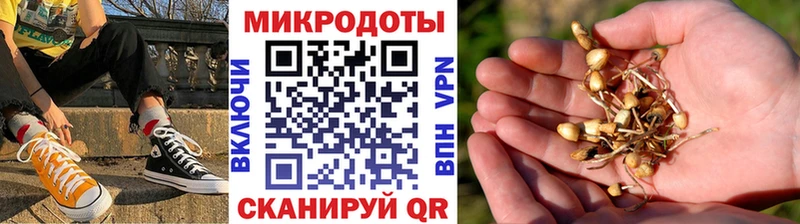 купить закладку Рыльск Галлюциногенные грибы Psilocybe